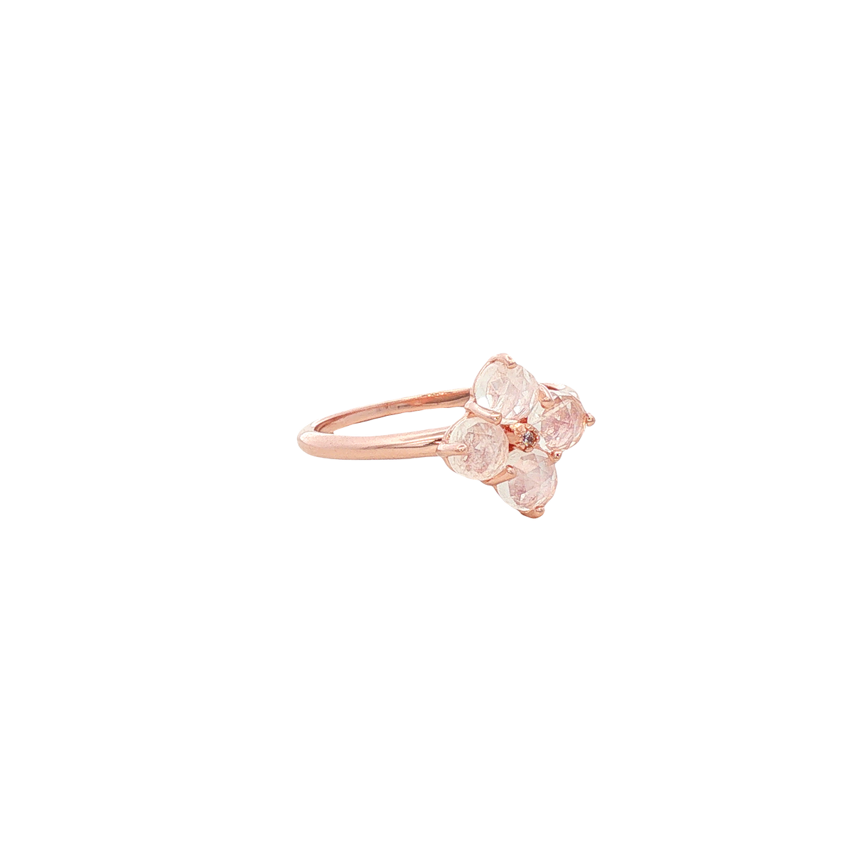 1029620_2.png
