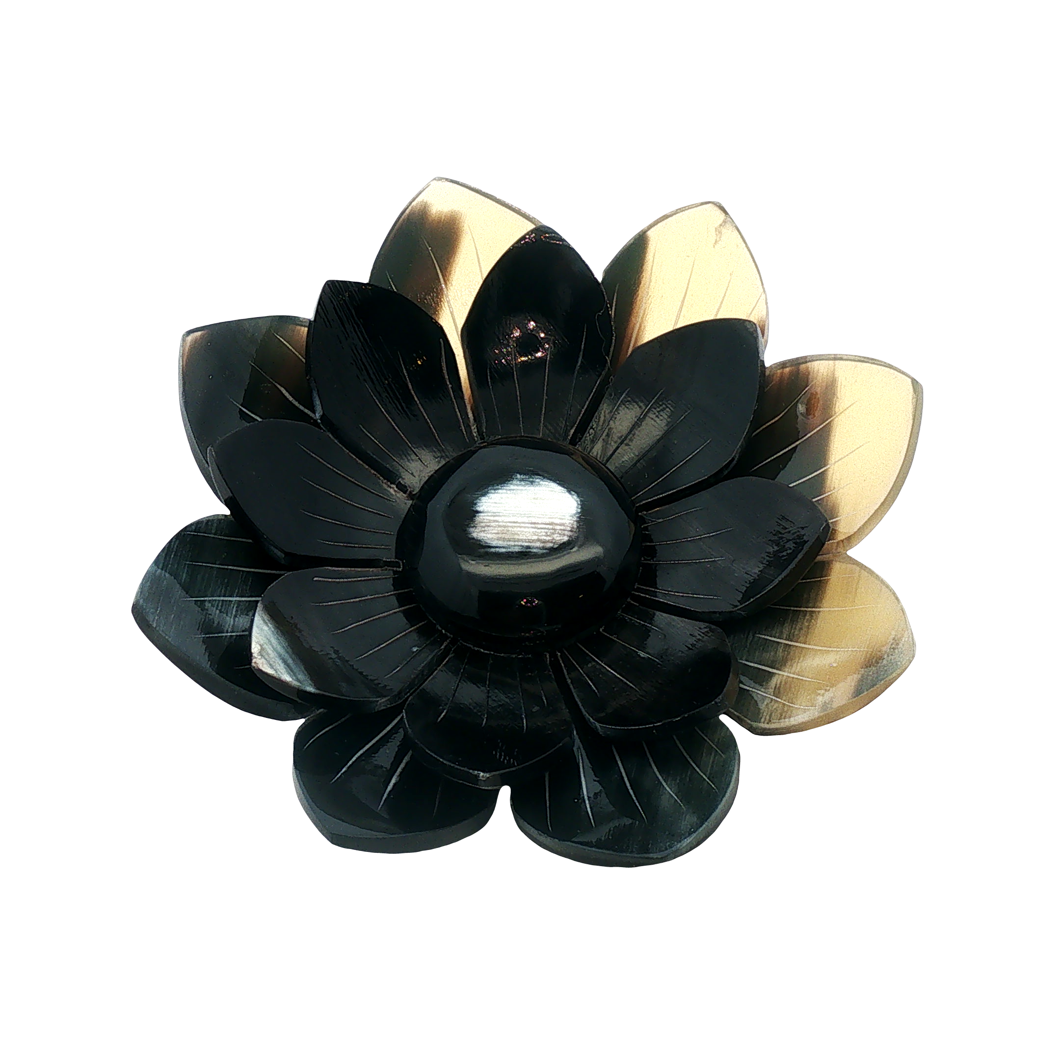 1043667_2.png