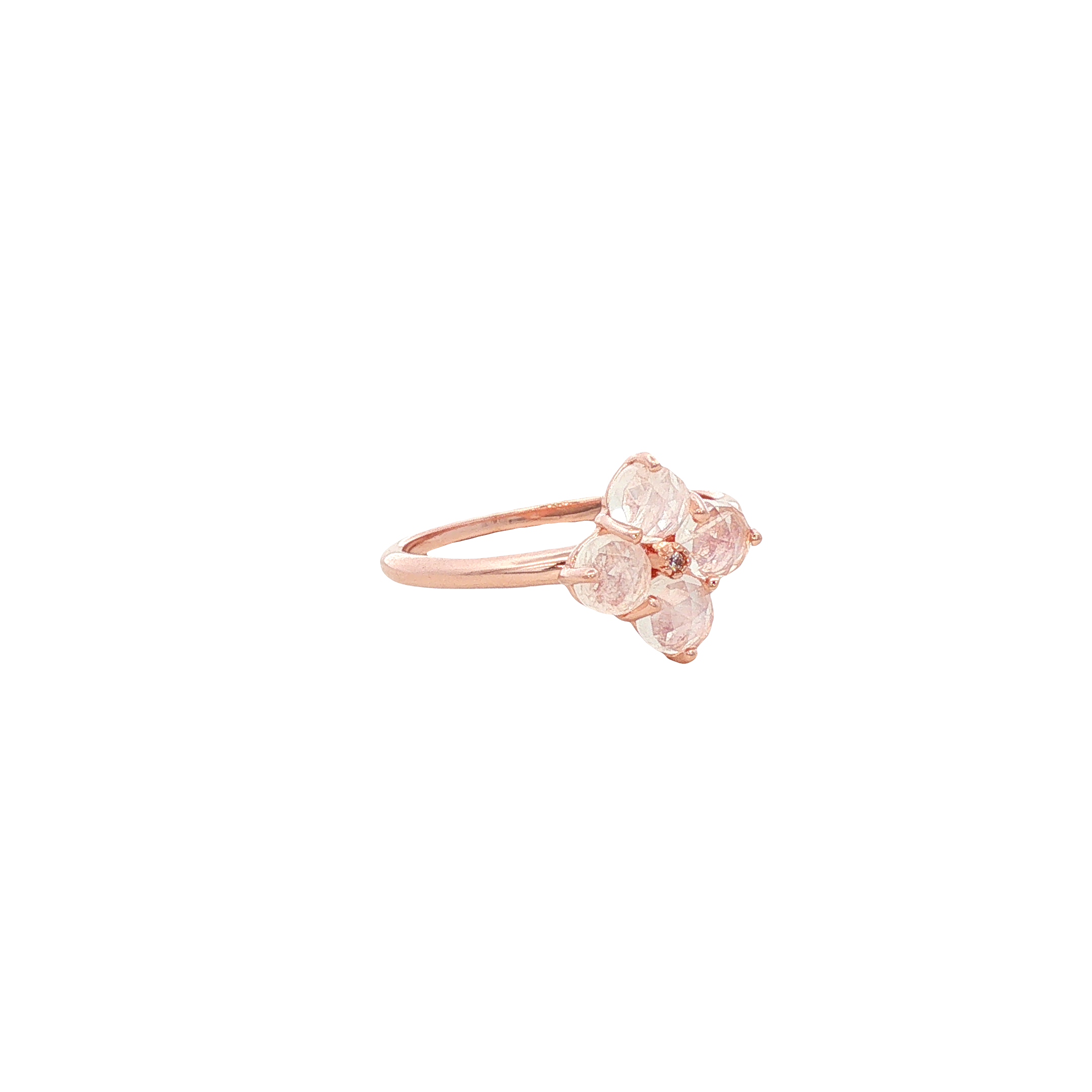 1029620_2.png