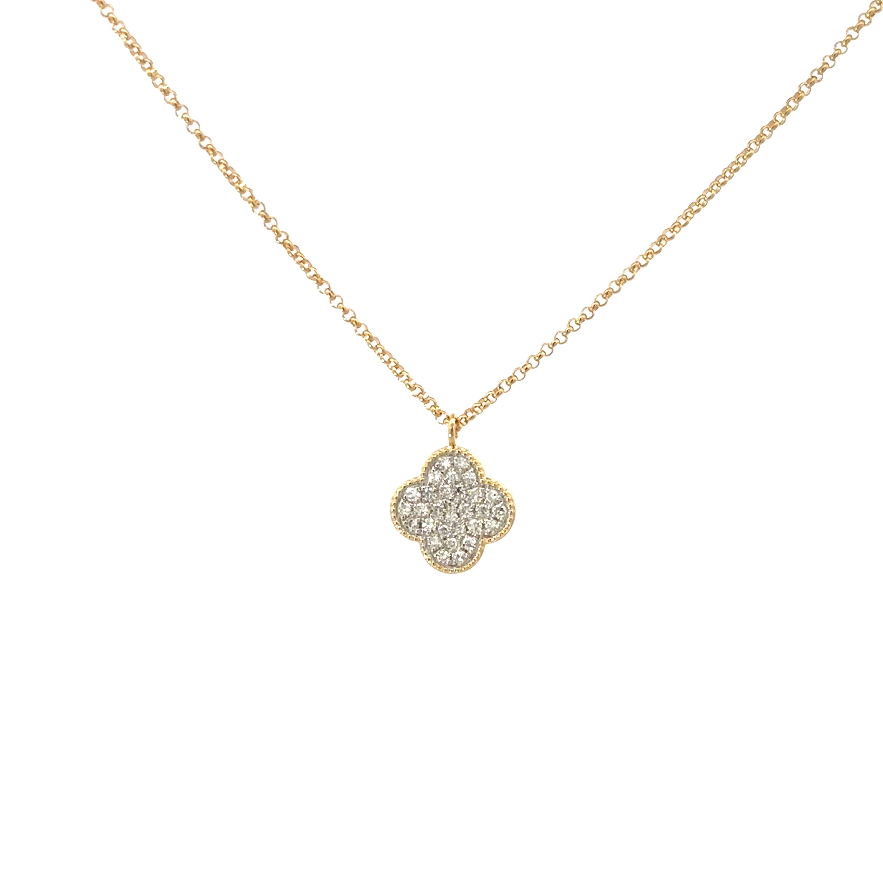 1038927_1.jpg