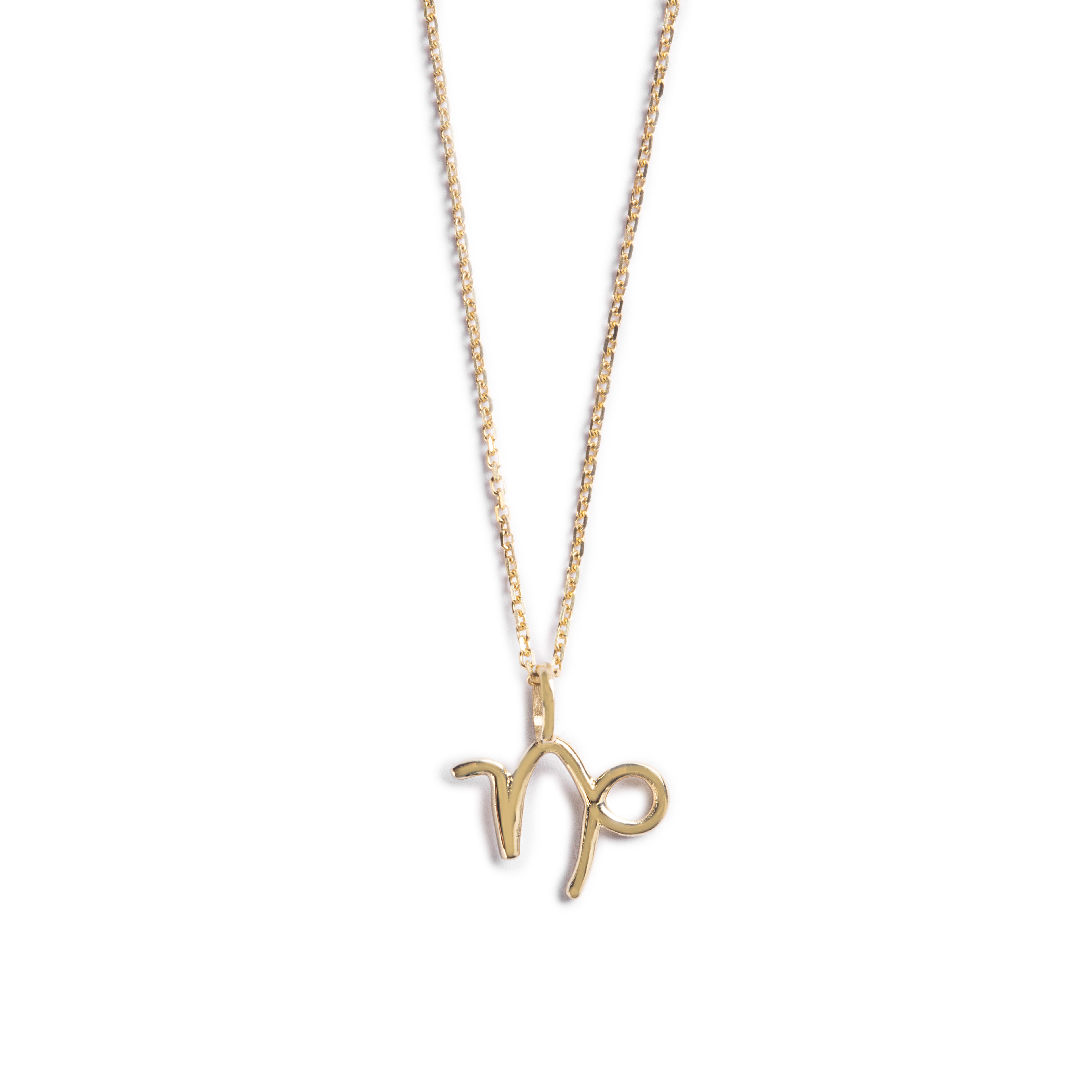 Dije Capricornio en Oro Amarillo 14K