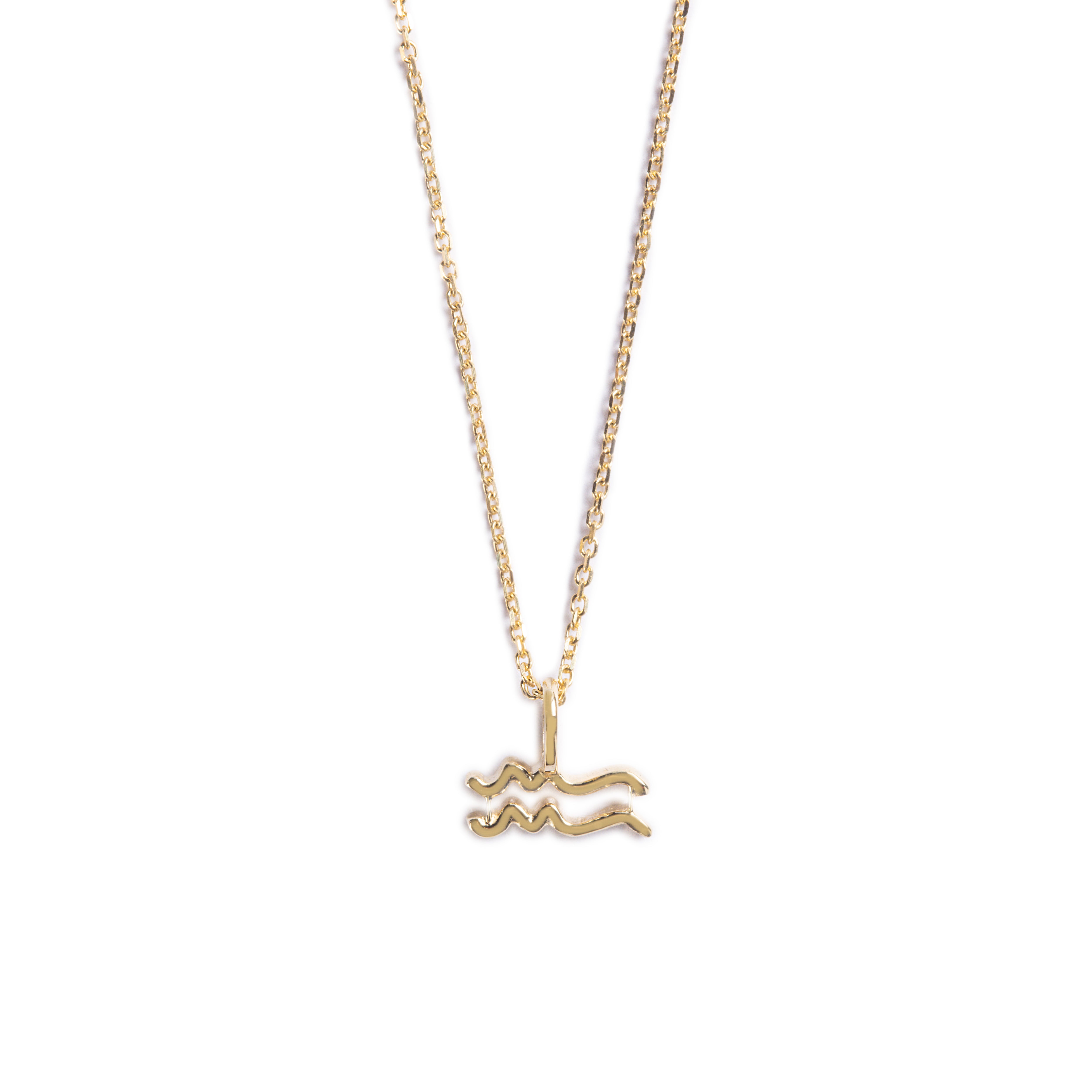 Dije Zodiaco Acuario en Oro Amarillo 14K