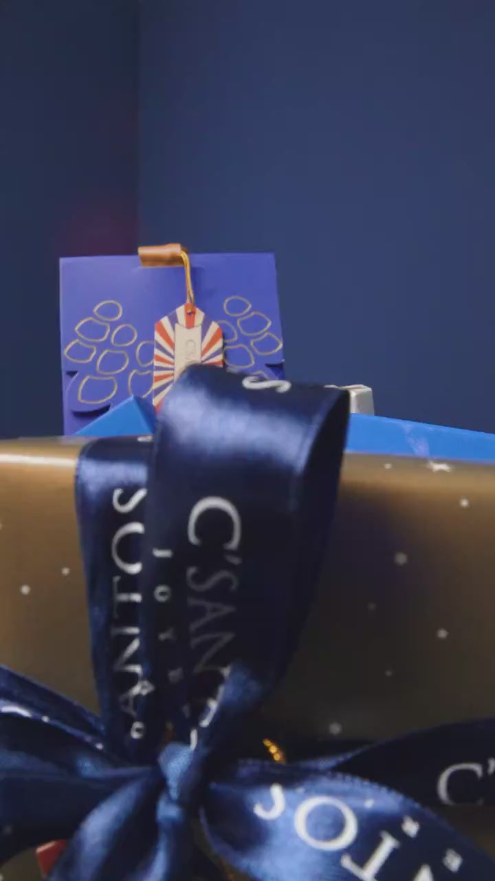 1035802_v1.mp4