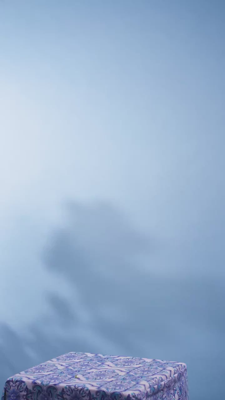 1035148_v1.mp4