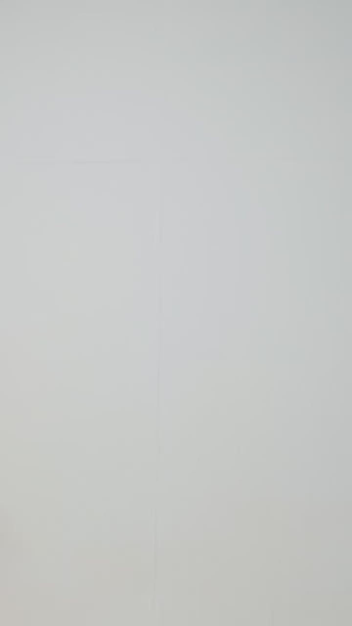 1042446_v1.mp4